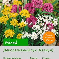  Аллиум (Allium) Mixed